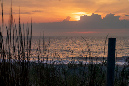 MS_SC2024_landscape